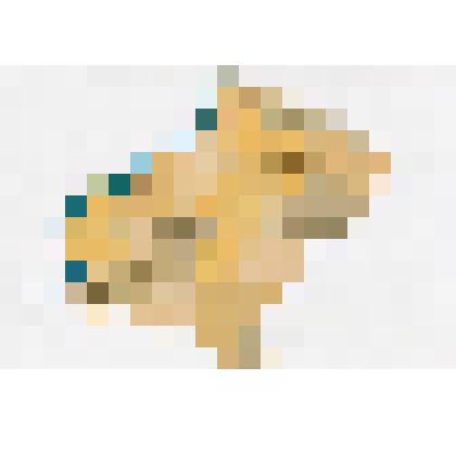 Ф/цв. Карта (схематичная) Покровской и Николаевской Епархии. 2017