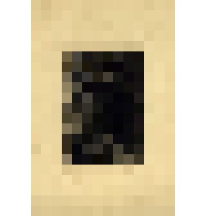 Портрет Ф.И.Шаляпина в роли Дон Кихота