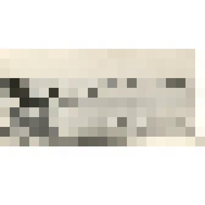 Фотография: групповой метод уборки в совхозе "Октябрь" Каменского района Алтайского края