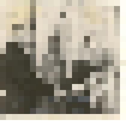 Фотография: председатель комитета профсоюзов вручает переходящее красное знамя передовикам Кировского отделения совхоза "Октябрь" Каменского района Алтайского края