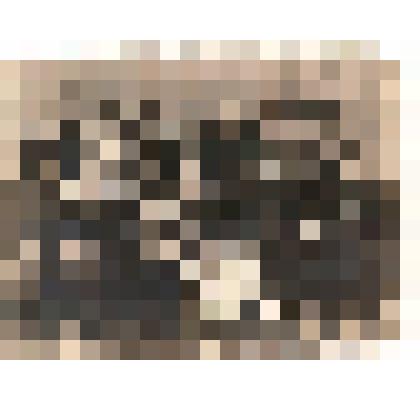 Фотография групповая. Сотрудники районной сберегательной кассы