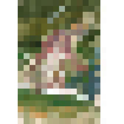 Рисунок
«Любосеевка. Купанье»