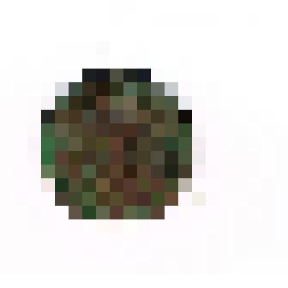 Монеты Российские. 1 копейка