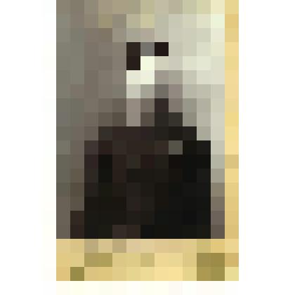 Фотография. Портрет С.И. Шипкина, рядового 14 пехотного Олонецкого полка Варшавского военного округа