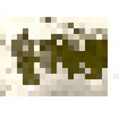 Фотография: демонстрация 1 мая 1963 года в г.Камне-на-Оби