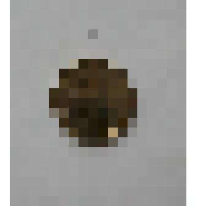 Монета "50 рублей"