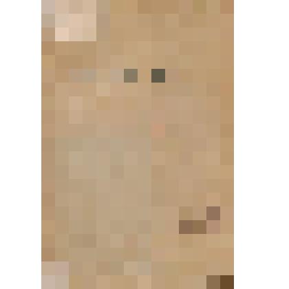 Книга. За Родину!