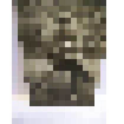 Фотография Красульникова Якова Федотовича