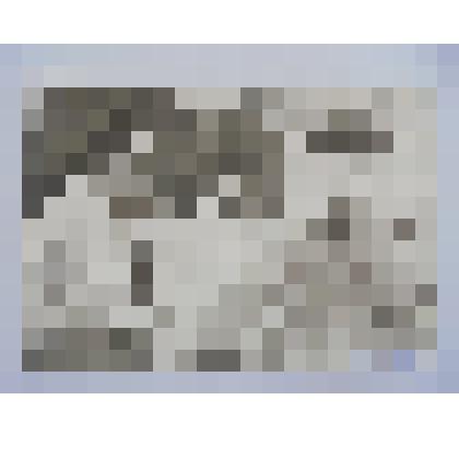 Фотография Зинната Галимова