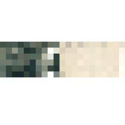 "С.-Петербург. Общество врачей-гомеопатов. Невский проспект, 82. Приемная", открытка