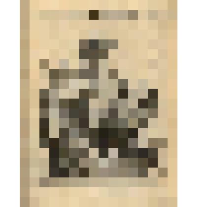 Les Chevaux du Soleil. (Скульптурная группа "Кони солнца" (№ 65) - лист из альбома: «Recueil des statues, groupes, fontaines, termes, vases, et autres magnifiques ornaments du Chateau & Parc de Versailles.» T. I-IV. (Собрание фигур, групп, терм, фонтанов,