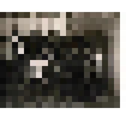 Фотография. Коллектив Шапкинской пожарной дружины