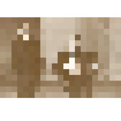 Фото выступления Ахметгалеева Ф.А.,Хисамова Г.- Дюртюлинское ТПО на 1 республиканском  смотре