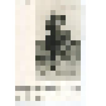 Открытка. Л.Н.Толстой верхом.Репродукция с фотографии В.Г.Черткова Крёкшино, сентябрь 1909 г