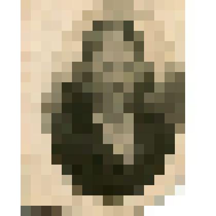 Фотопортрет. Золотых (Шестакова) Варвара Ефимовна, учитель начальных классов Кладовской начальной школы