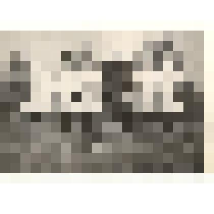 Фотография: бригада животноводов с.Долганка с-з Долганский во главе с бригадиром Коритковым И.А