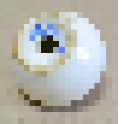 Перечница фаянсовая