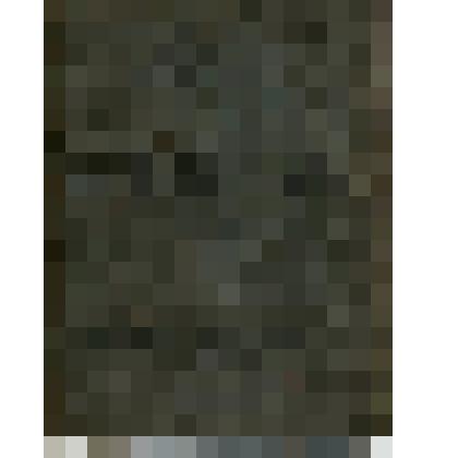 Военный билет Шангина Ивана Степановича. Выдан переучетным пунктом № 1 Алатырского ПЗК