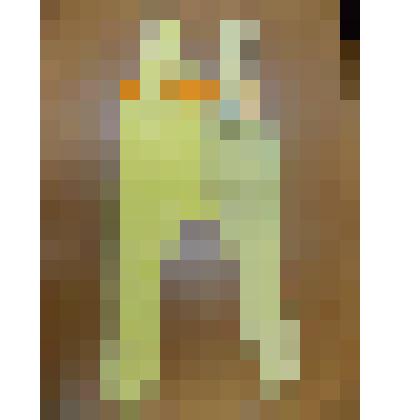 Ползунки детские