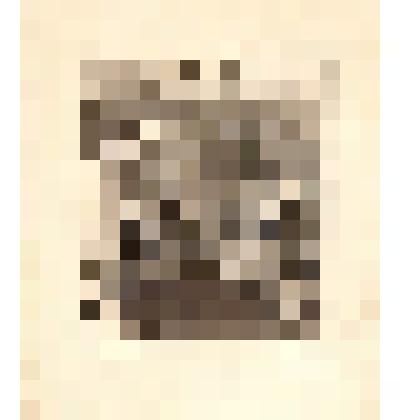 На лесах. Потолок