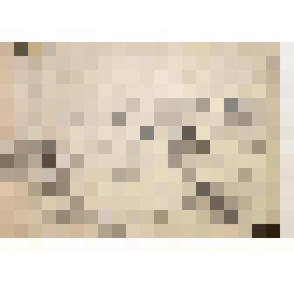 Дот молчит. Подвиг Матросова