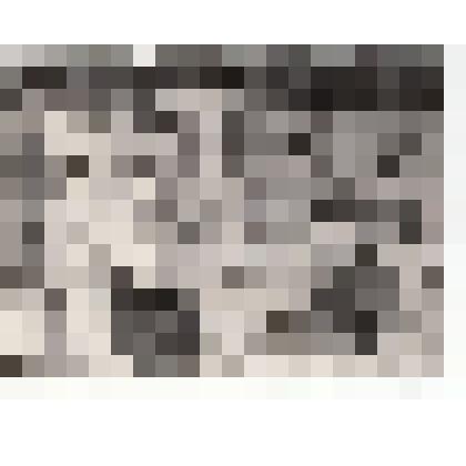 Фото/чб. Энгельсская опытно-мелиоративная станция. Сортировка урожая яблок по ящикам. 1960-1970-е