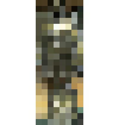 Афанасий Никитин