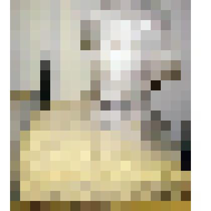 Н.Г. Чернышевский