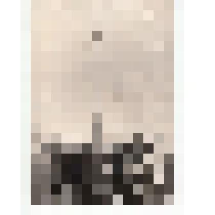 Фото/чб. Первый обелиск на месте приземления Ю.Гагарина. Энгельсский р-н. 12.04.1962 г