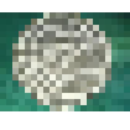 Фуражка гражданская