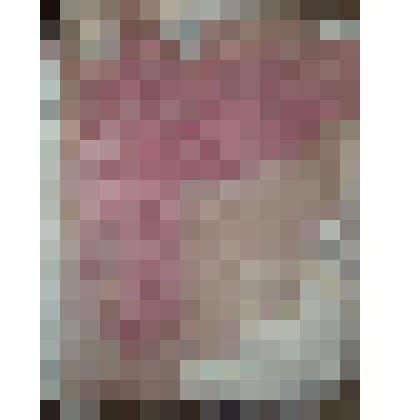 Книга. Указатель Российских законов, временных учреждений, суда и расправы. Часть пятая. С 1730 по 1734 год. -  Москва: Издатель Л.Максимович,1805