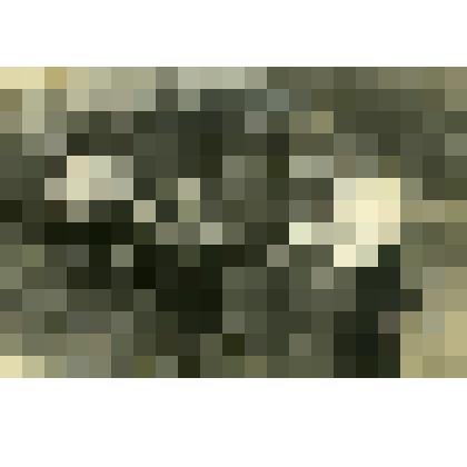 Фотография. Колхозники Артели имени Молотова