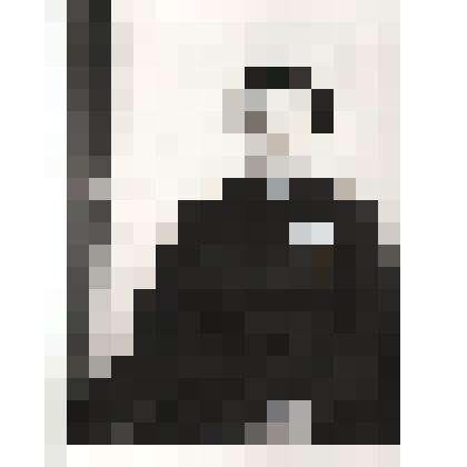 Фото.Жмырёва Мария Григорьевна,,оператор МХП Инжавинского  района.Награждена двумя орденами Трудовой Славы