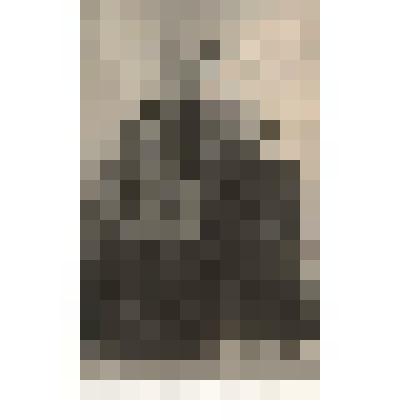 Фк/чб. Семья поволжских немцев-колонистов (муж, жена, сын-юноша). Поволжье. 1910-1920-е