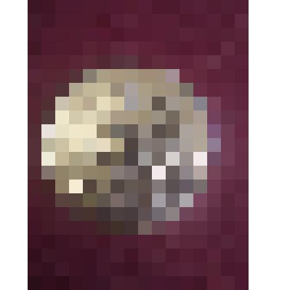 Медаль памятная  «Волгоград»