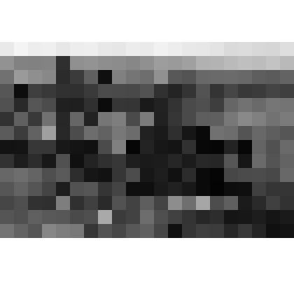 Негатив. Рабочие Севастопольского морского завода им. С.Орджоникидзе на благоустройстве Малахова кургана