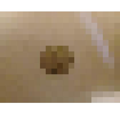 Монета 20 копеек 1961 г