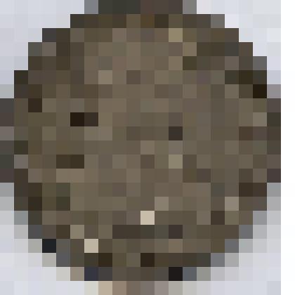 Монета. Испания. Карл III (1703-1740). 8 реалов