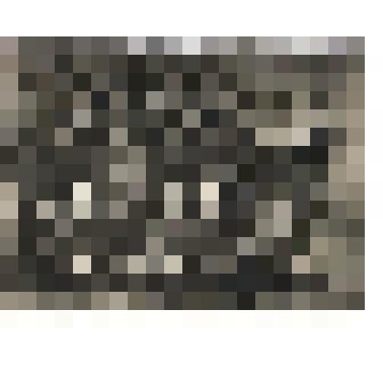 Ф/чб. Студенты и преподаватели Саратовского художественно-промышленного техникума (СХУ). Уткин П.С., Егоров Е.В., Поляков К.Г., Штессель Е., Сапожников А.А.,Миловидов Б.В. и др. Саратов. 1930