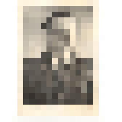 Фотография. Матросов В.А., лейтенант запаса, участник Великой Отечественной войны