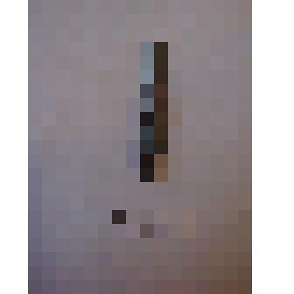 Перо с изображением Л.Н.Толстого