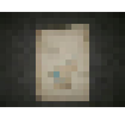 Геометрический специальный план Рязанской губернии Сапожковского уезда сельца Александровки