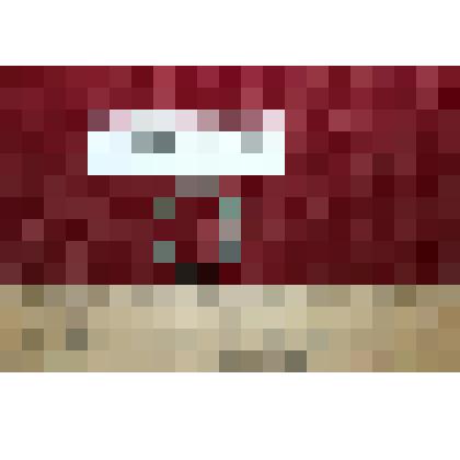 Перстень ложновитой