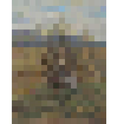 Весна под Москвой. Серый день