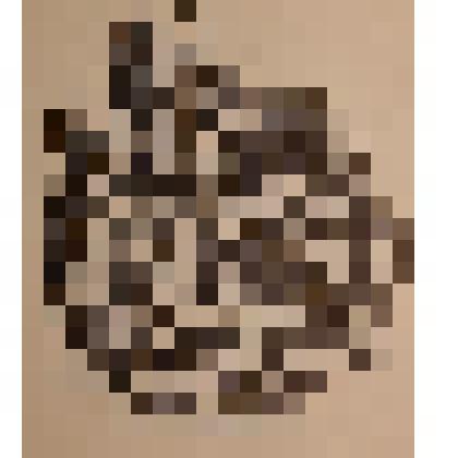 Exlibris Kugaites Egles