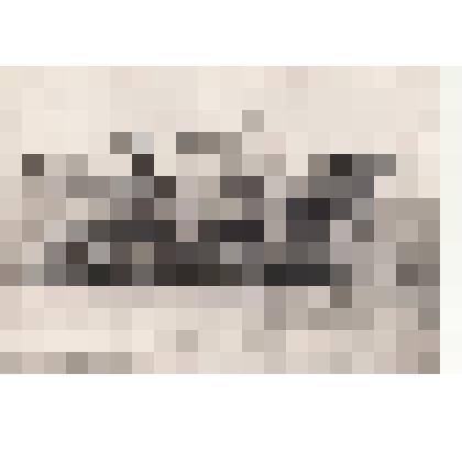 Фото/чб. Энгельсская опытно-мелиоративная станция (ВОЛЖНИИГИМ). Гусеничный трактор с плугом. 1960-1970