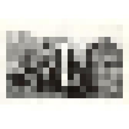 Фотография: участники экспедиции по местам исчезнувших сел Каменского района Алтайского края