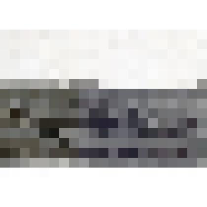 После ураганного ветра на Волчьей шишки