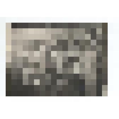 Фото/чб. Слет отличников ухода за конем. Выставка изделий интендантского отдела 148-й стрелковой дивизии. Действующая Армия. Белометное, Орловской обл. 1942