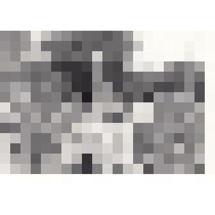 Фотография черно-белая групповая с изображением учащихся школы №9 у памятника жертвам фашизма